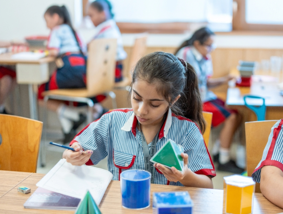 17485407381753162207_updated_image